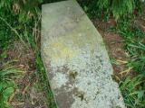 image number 8